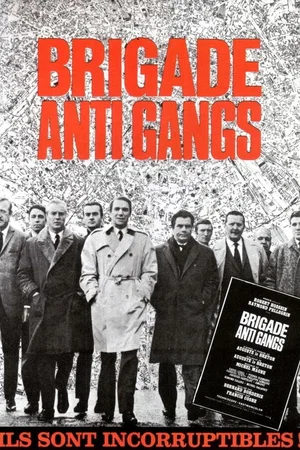 Affiche du film : Brigade anti gangs
