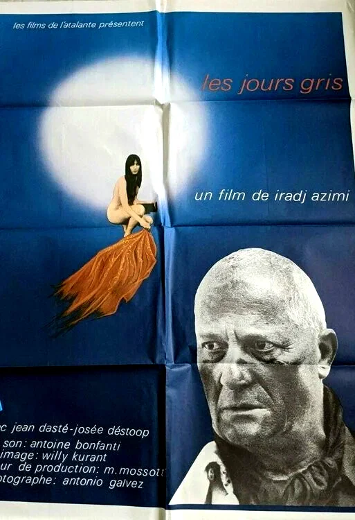 Affiche du film : Les jours gris