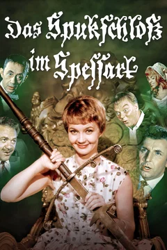 Affiche du film L'auberge du spessart