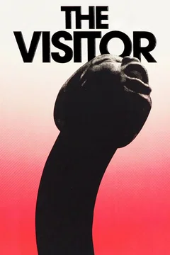 Affiche du film The Visitor