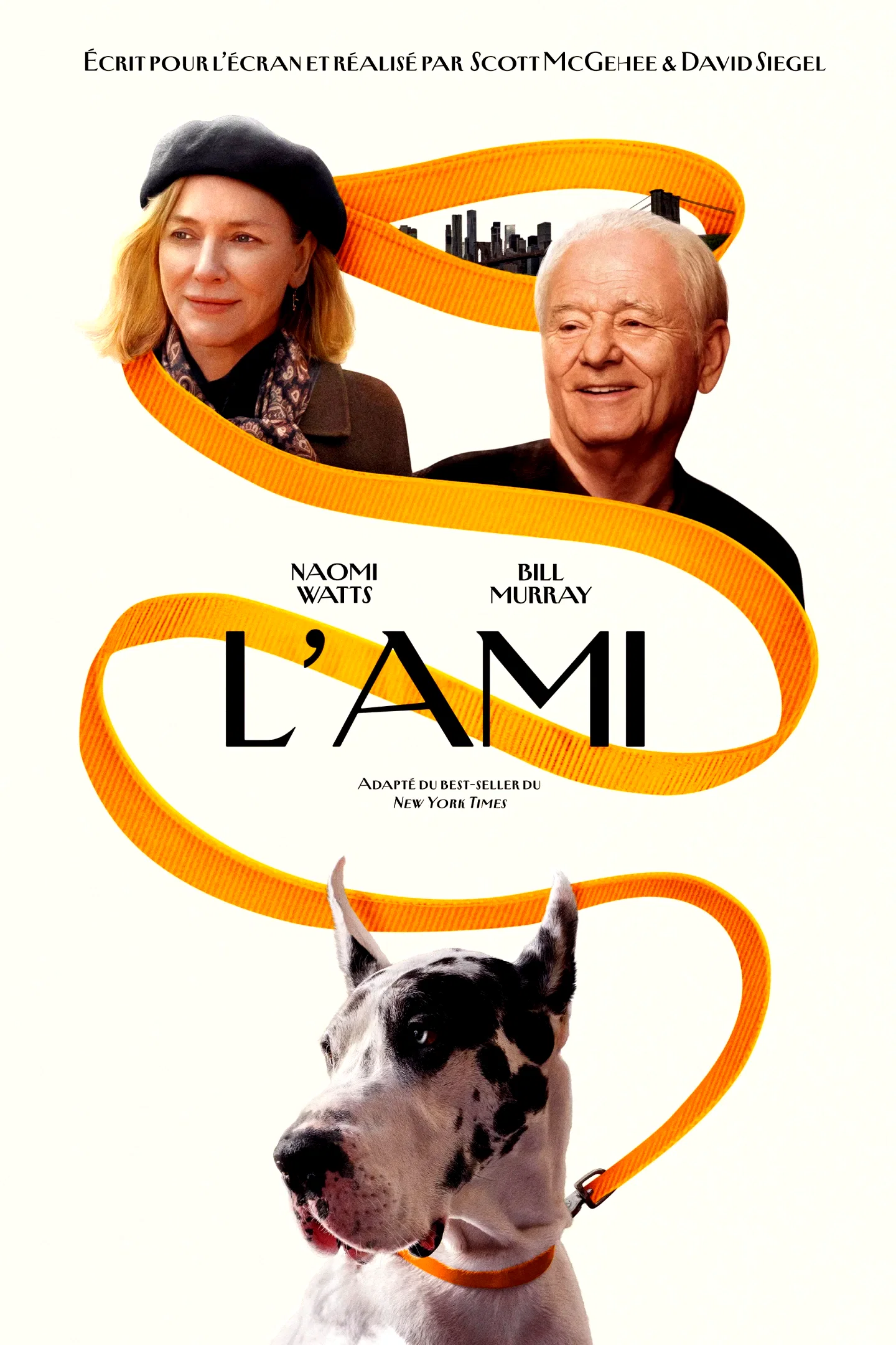 Photo du film : The Friend