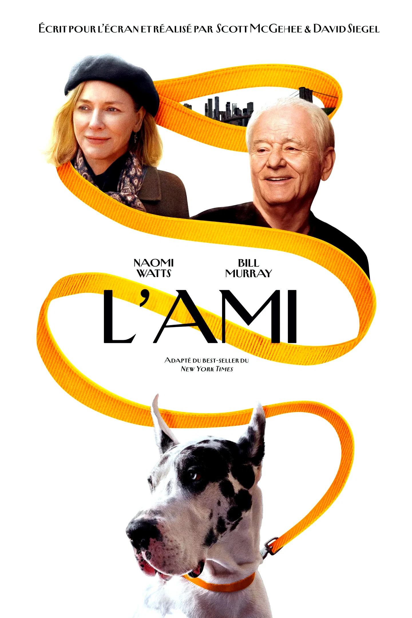 Photo du film : The Friend