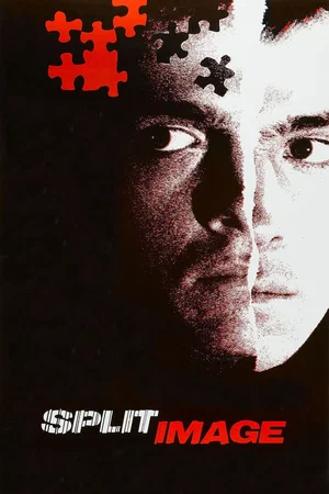 Affiche du film : Split Image