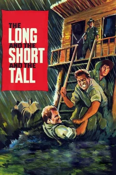 Affiche du film La patrouille egaree