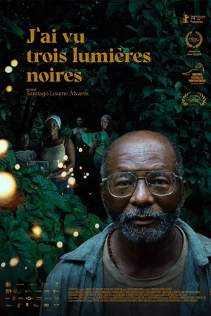 Affiche du film : J’ai vu trois lumières noires