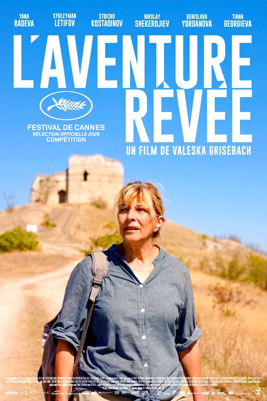 Affiche du film : L'Aventure rêvée