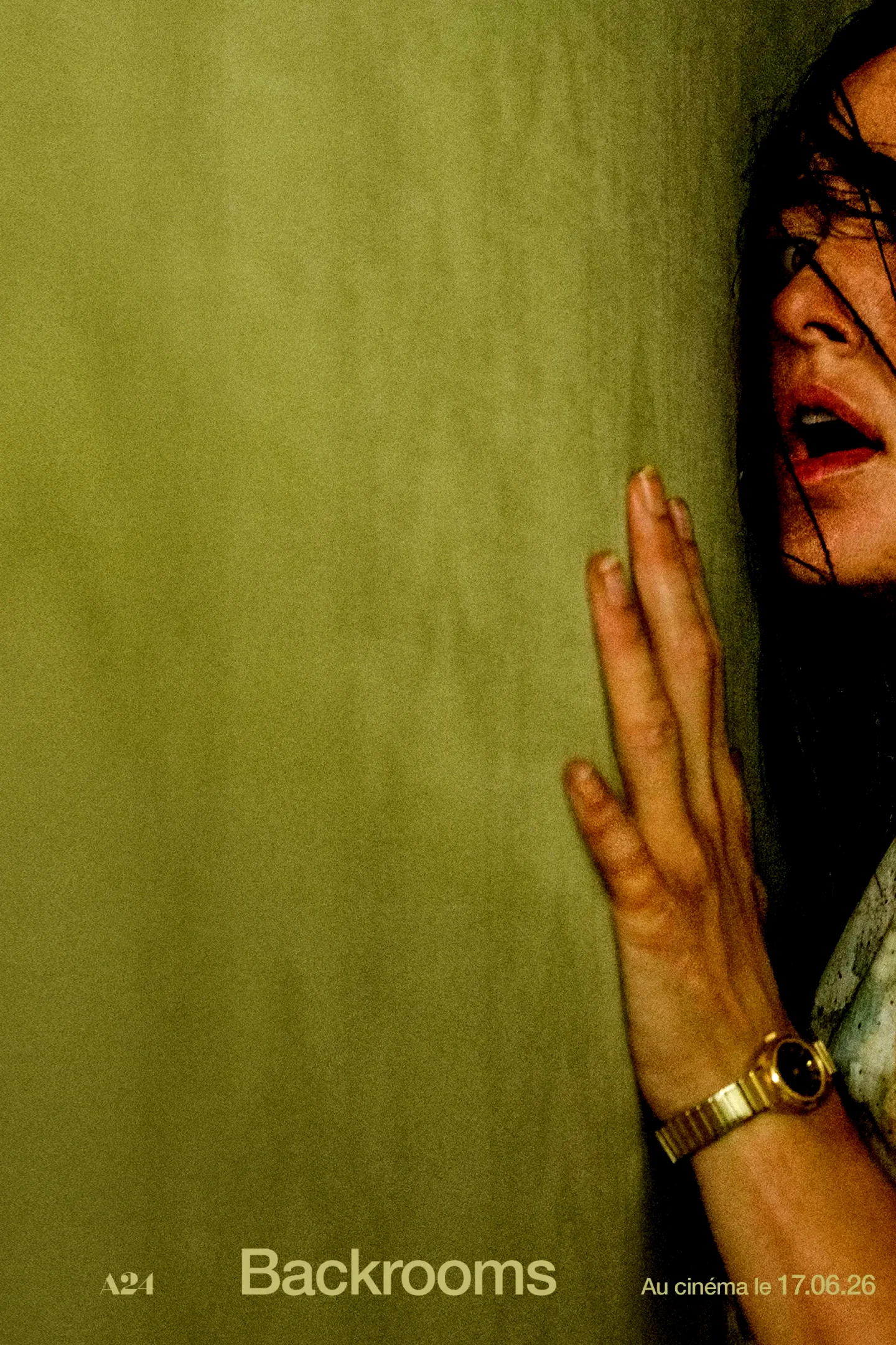 Affiche du film : Backrooms