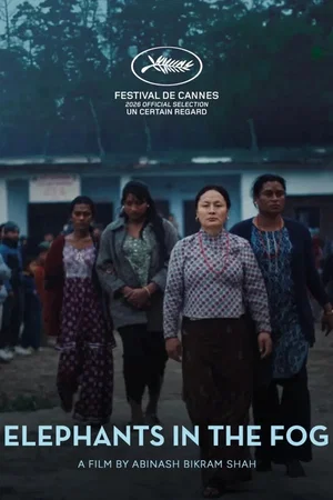 Photo 4 du film : Les Éléphants dans la brume