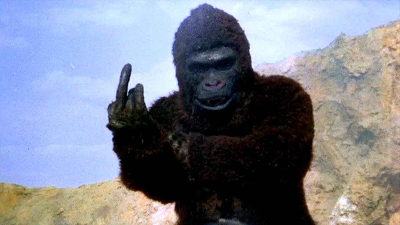 Photo 6 du film : King kong revient