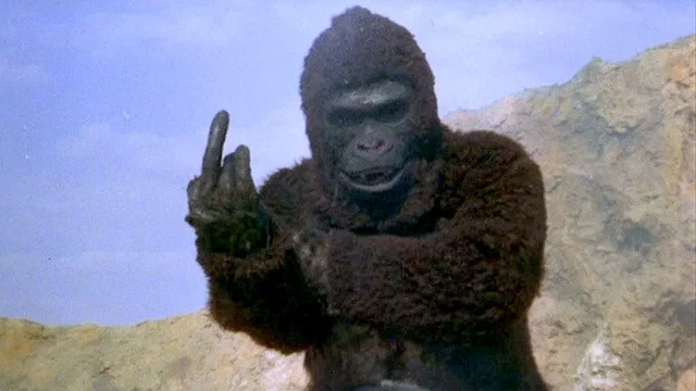 Photo 6 du film : King kong revient