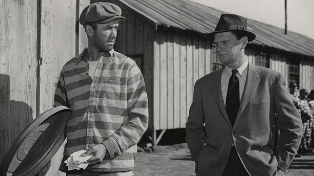 Photo 3 du film : L'homme a la carabine