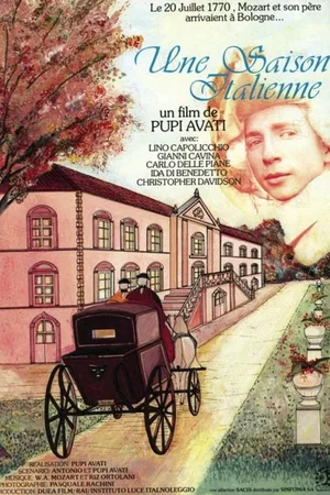 Affiche du film : Une saison italienne