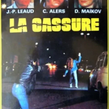 Miniature photo du film : La cassure
