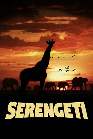 Affiche du film : Serengeti : un voyage au coeur de l'Afrique