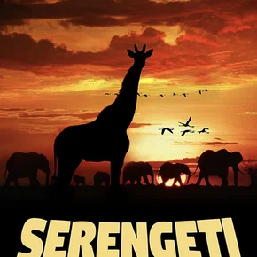 Photo du film : Serengeti : un voyage au coeur de l'Afrique