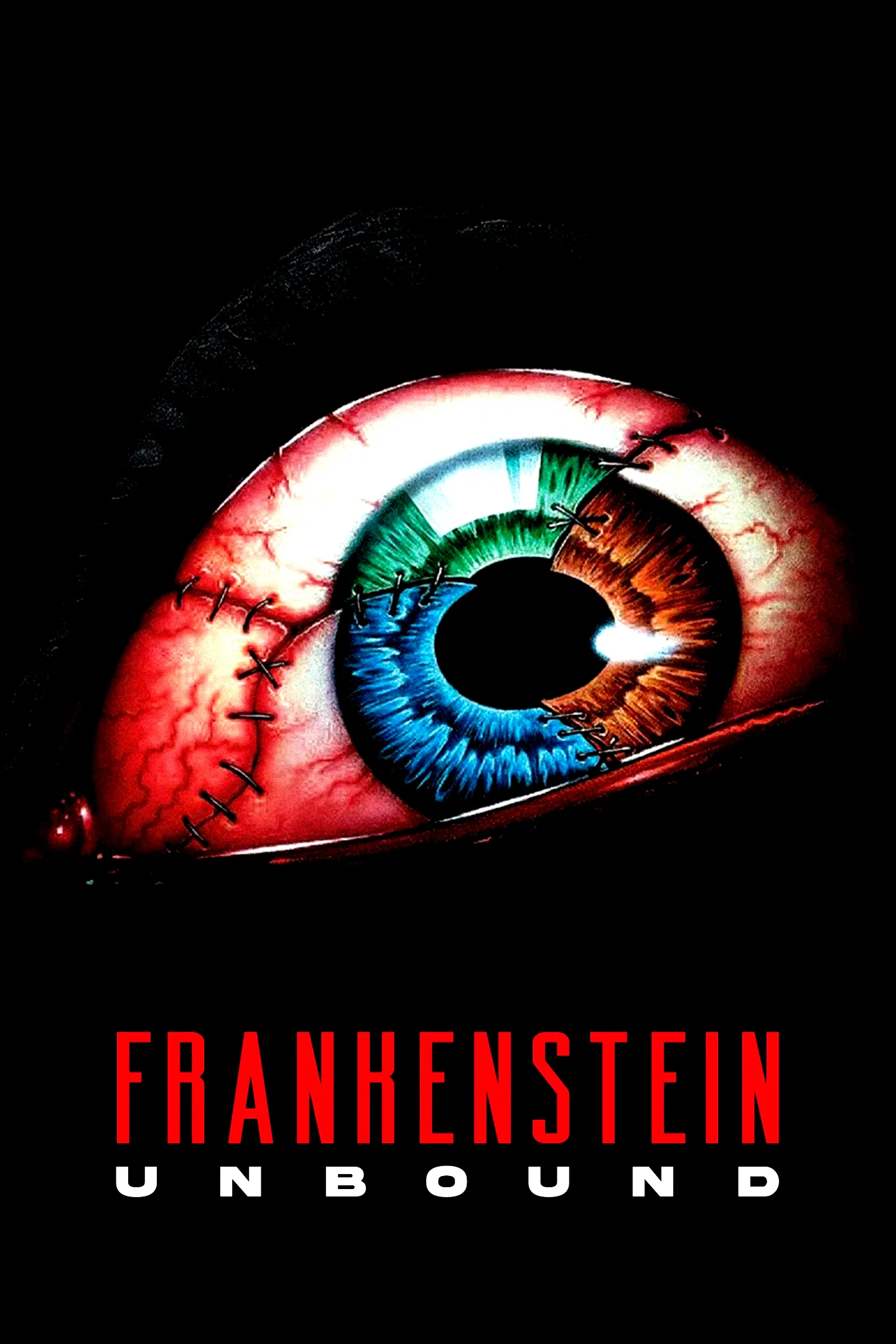 Affiche du film : La résurrection de Frankenstein
