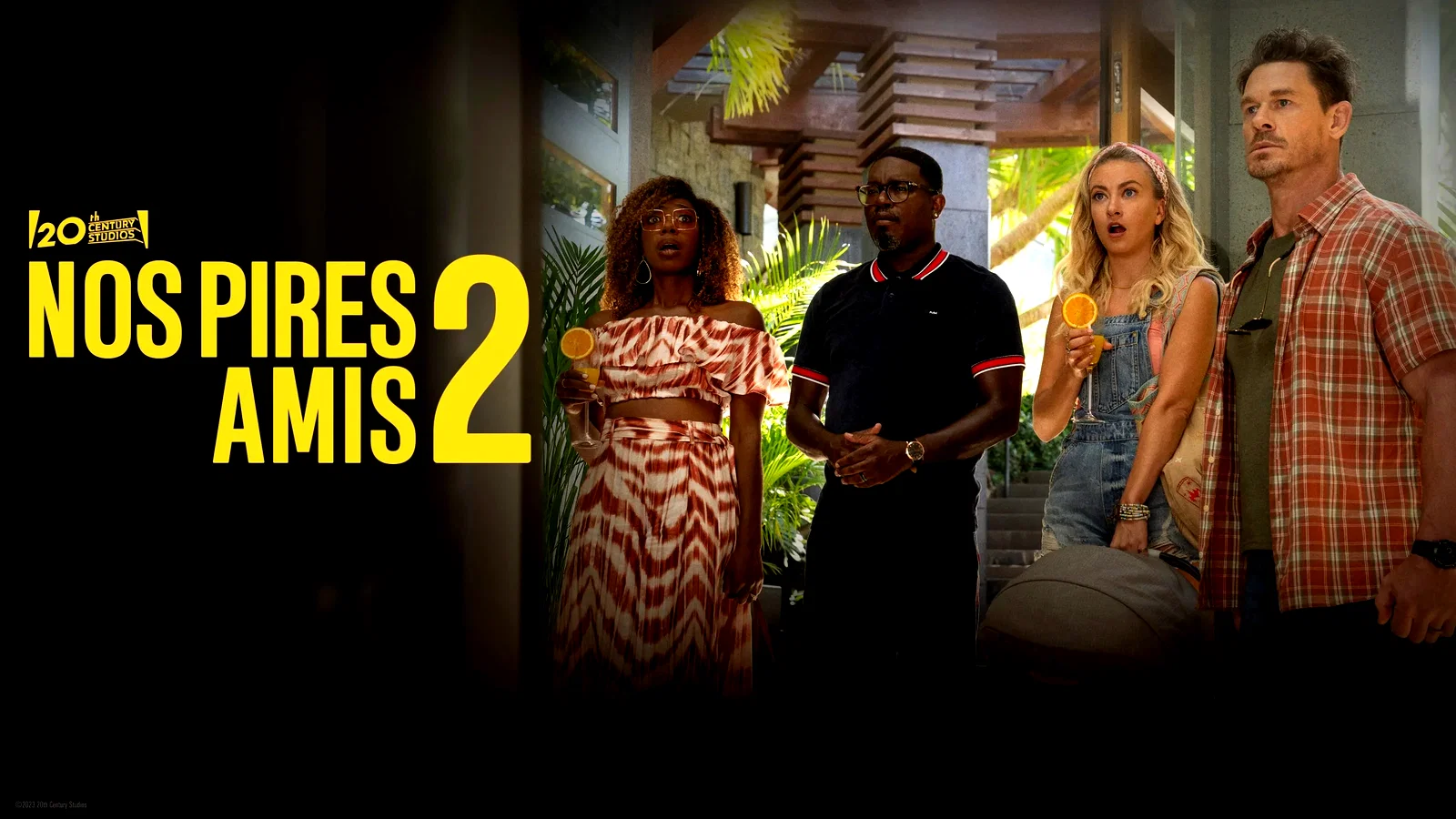 Photo 3 du film : Nos pires amis 2