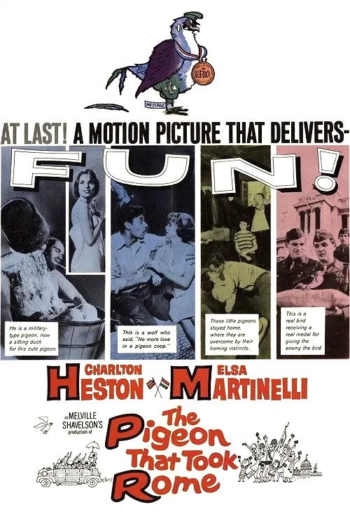 Affiche du film : Le pigeon qui sauva rome