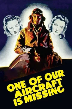 Affiche du film = Un de nos avions n'est pas rentre