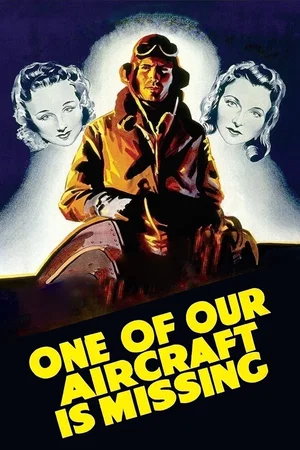 Affiche du film : Un de nos avions n'est pas rentre