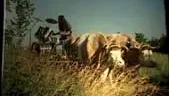 Photo 3 du film : Le dernier des immobiles