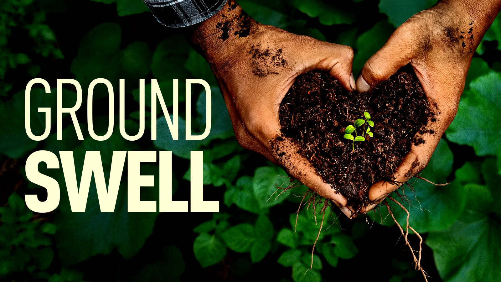 Photo du film : Groundswell
