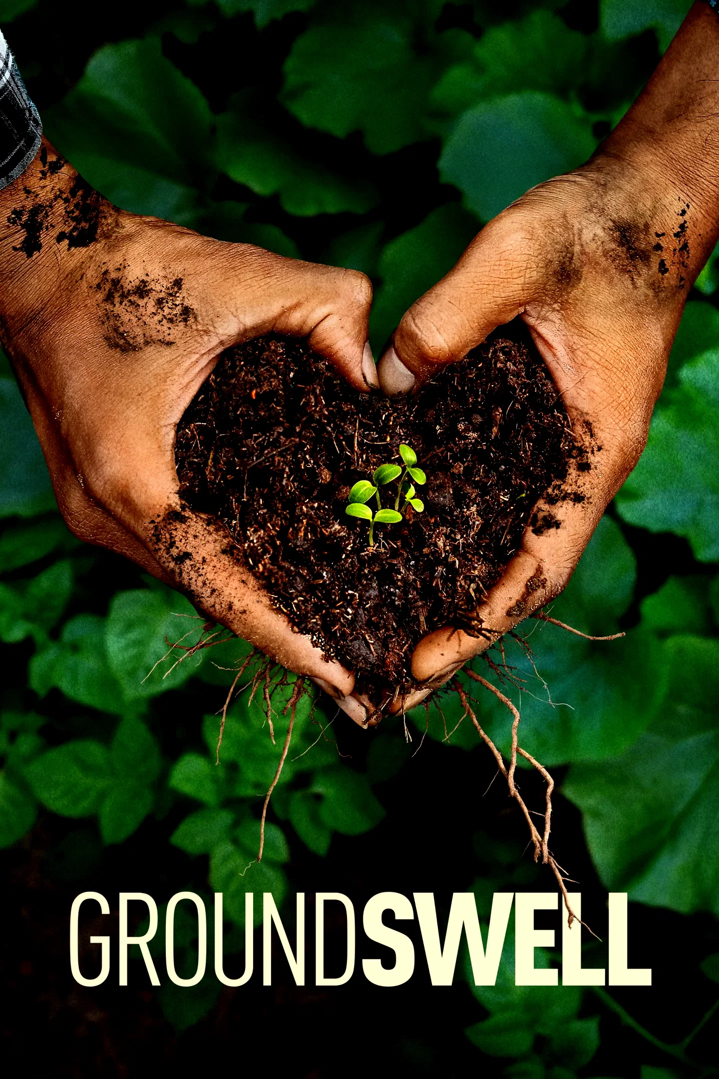Photo du film : Groundswell