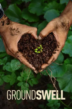 Affiche du film Groundswell