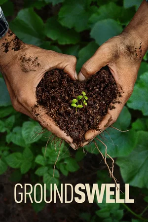 Affiche du film : Groundswell