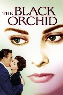 Affiche du film L'orchidee noire