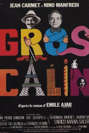 Photo du film : Gros Câlin