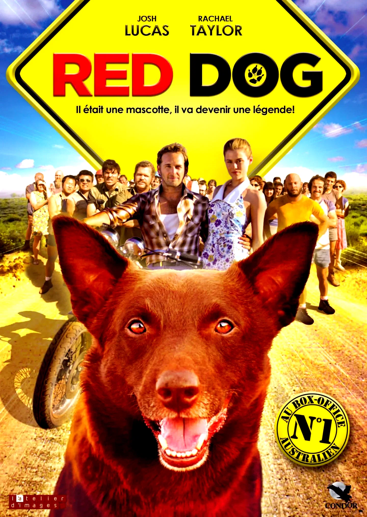 Affiche du film : Red Dog