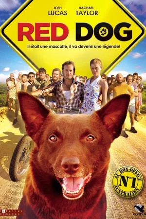 Affiche du film : Red Dog