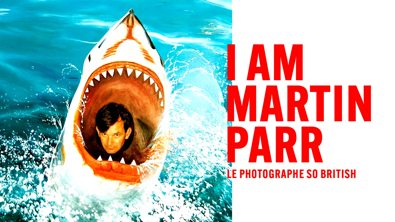 Photo du film : I Am Martin Parr