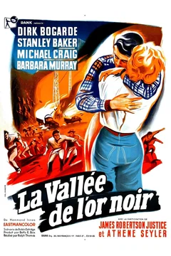 Affiche du film La vallee de l'or noir