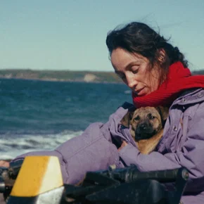 Photo du film : La Chienne