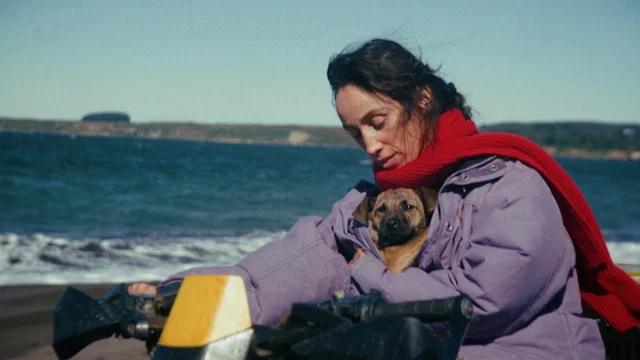 Photo du film : La Chienne