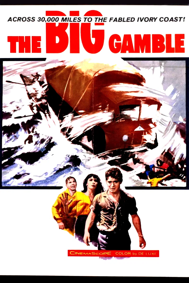 Affiche du film : Le grand risque