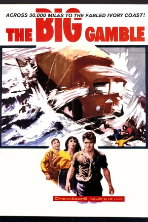 Affiche du film : Le grand risque