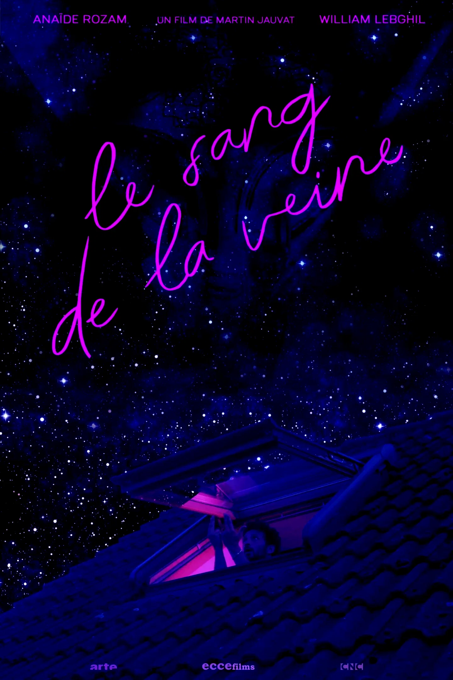 Affiche du film : Le sang de la veine