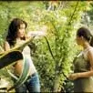 Photo du film : Venus et fleur