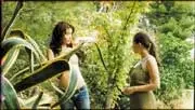 Photo 2 du film : Venus et fleur