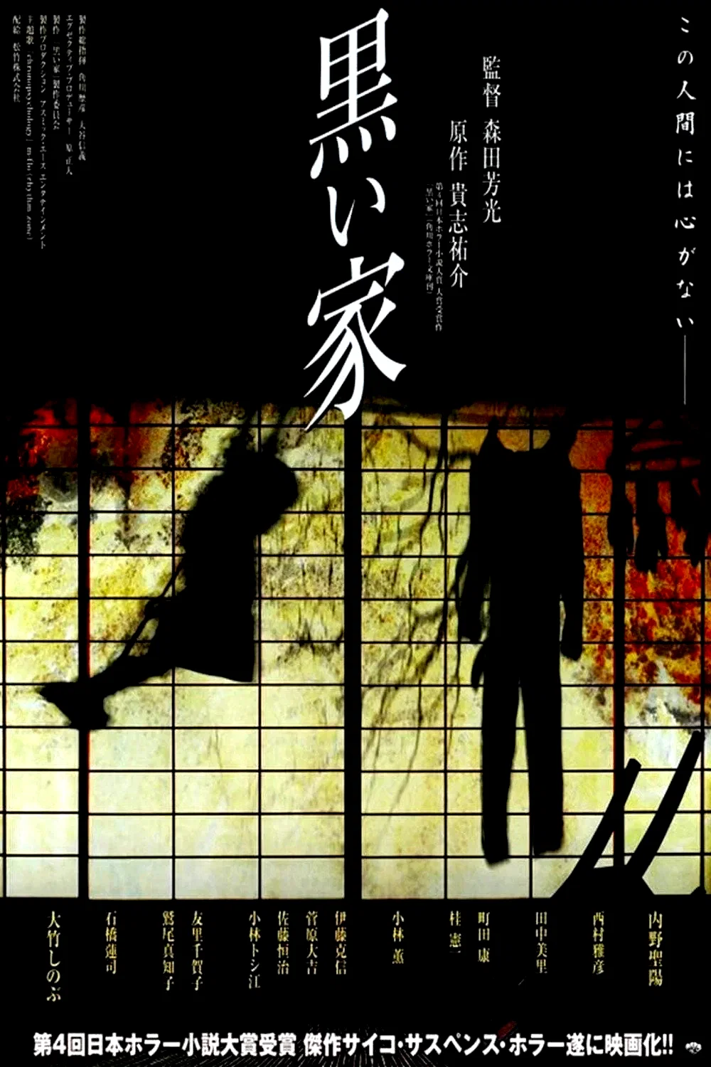 Affiche du film : The Black House