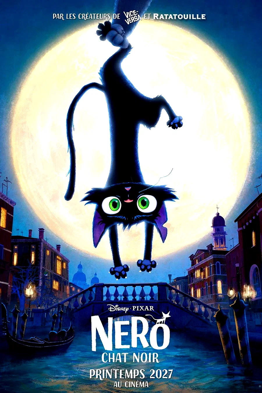 Affiche du film : Gatto