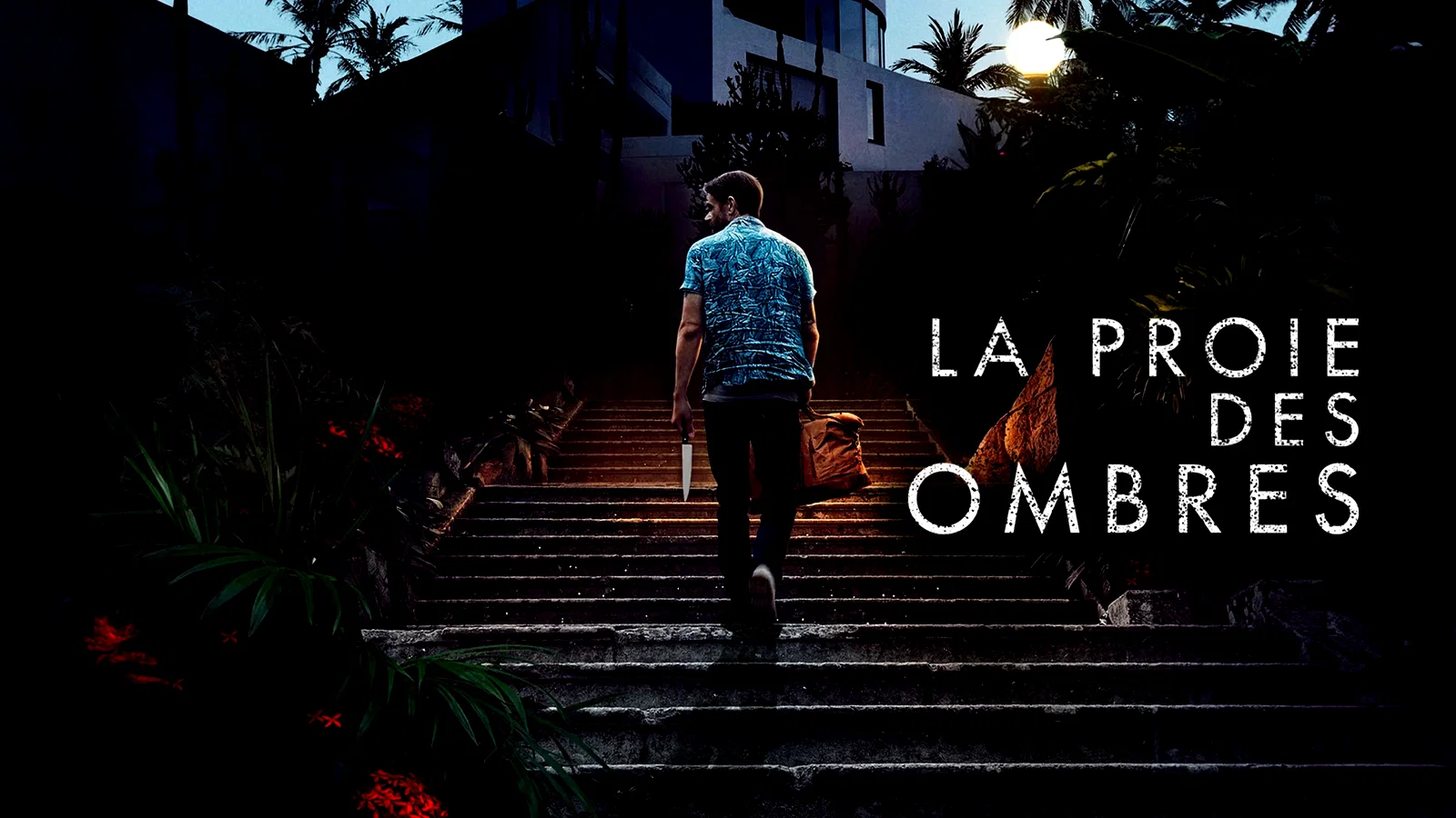 Photo du film : La Proie des Ombres