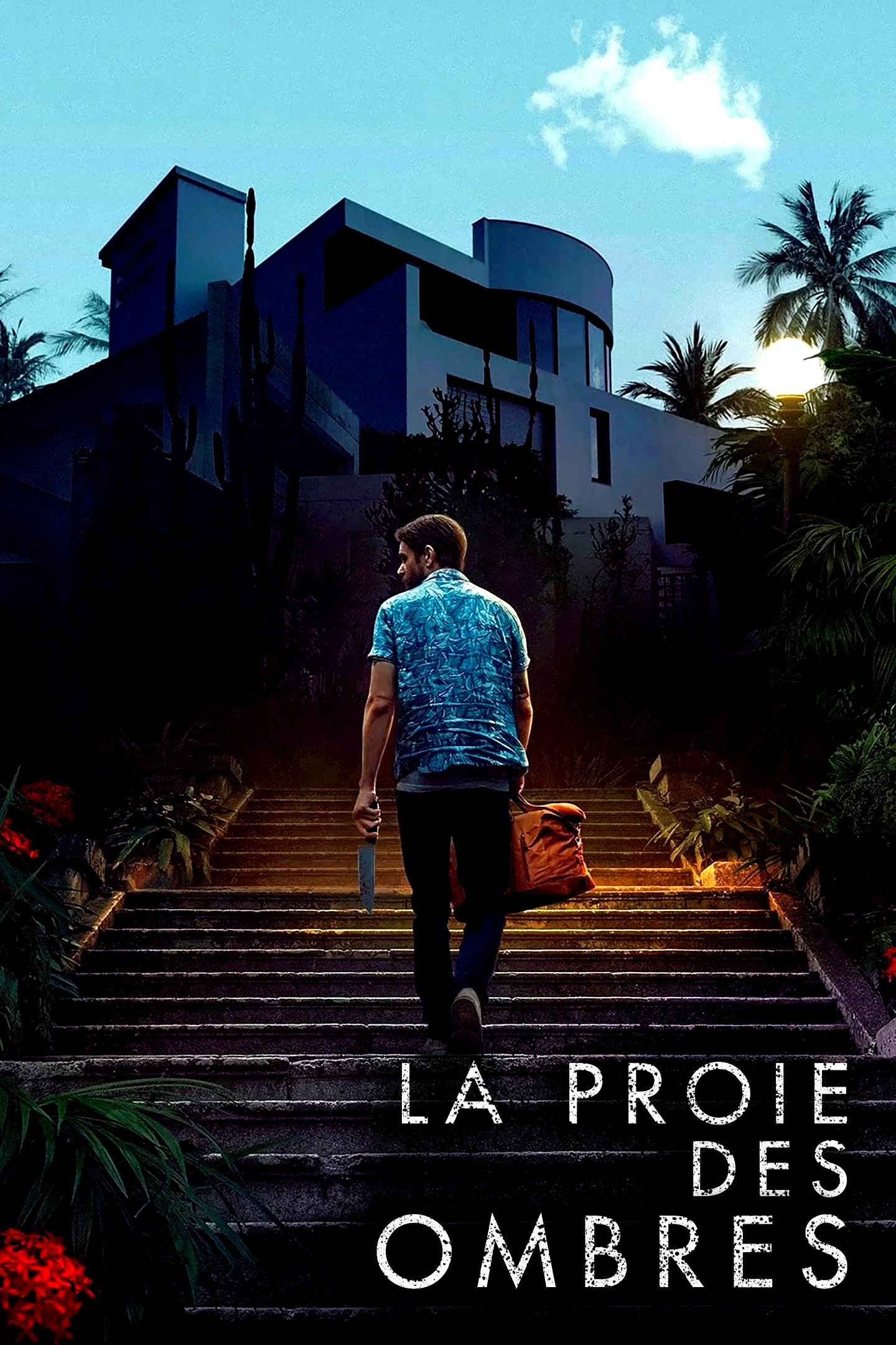 Affiche du film : La Proie des Ombres