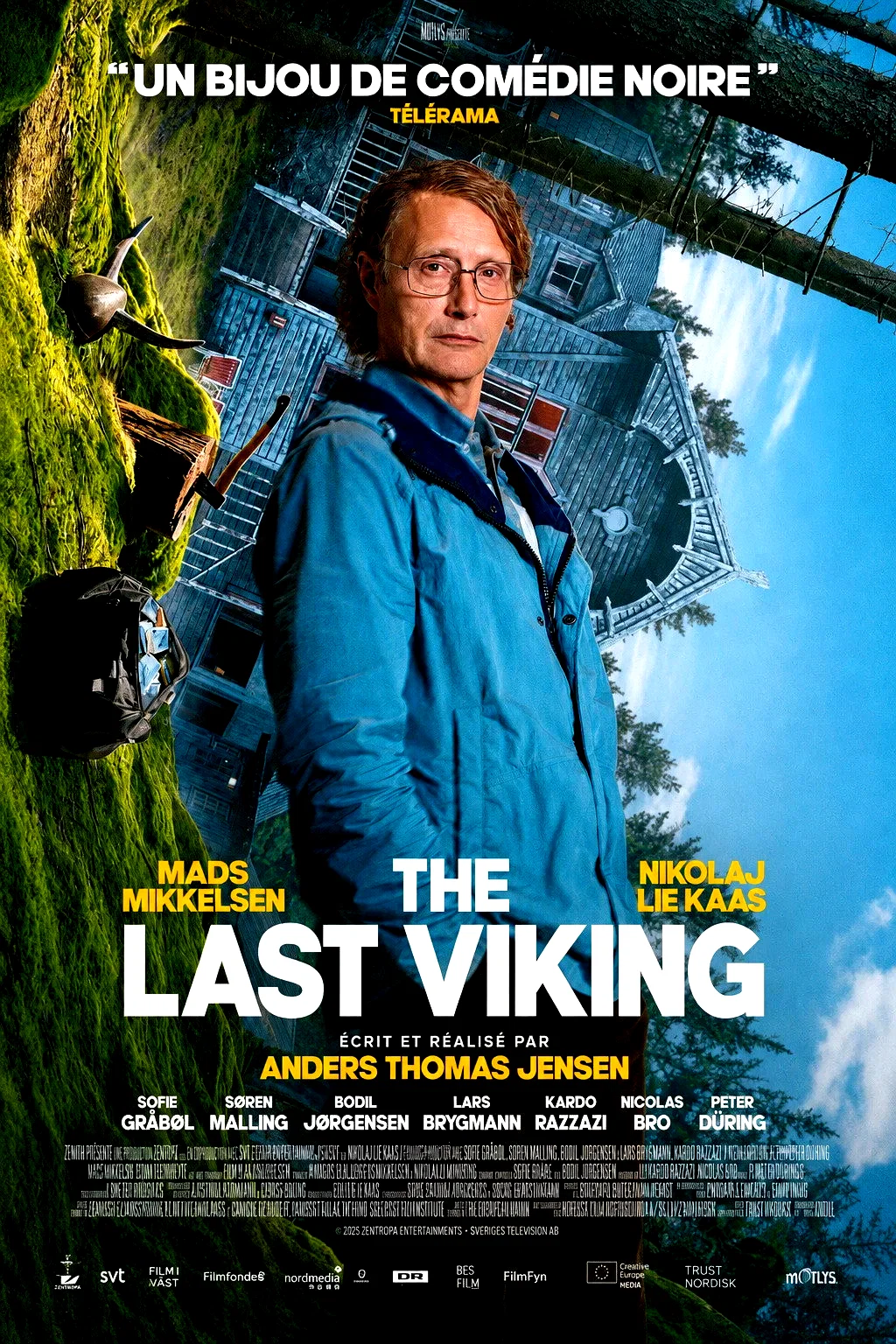 Affiche du film : The Last Viking
