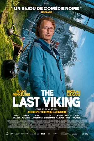 Affiche du film : The Last Viking