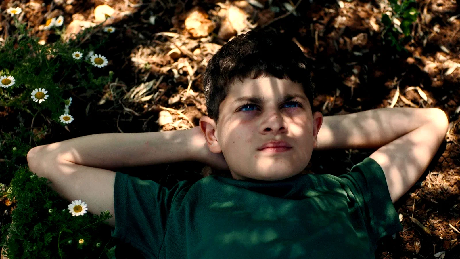 Photo 3 du film : The Sea
