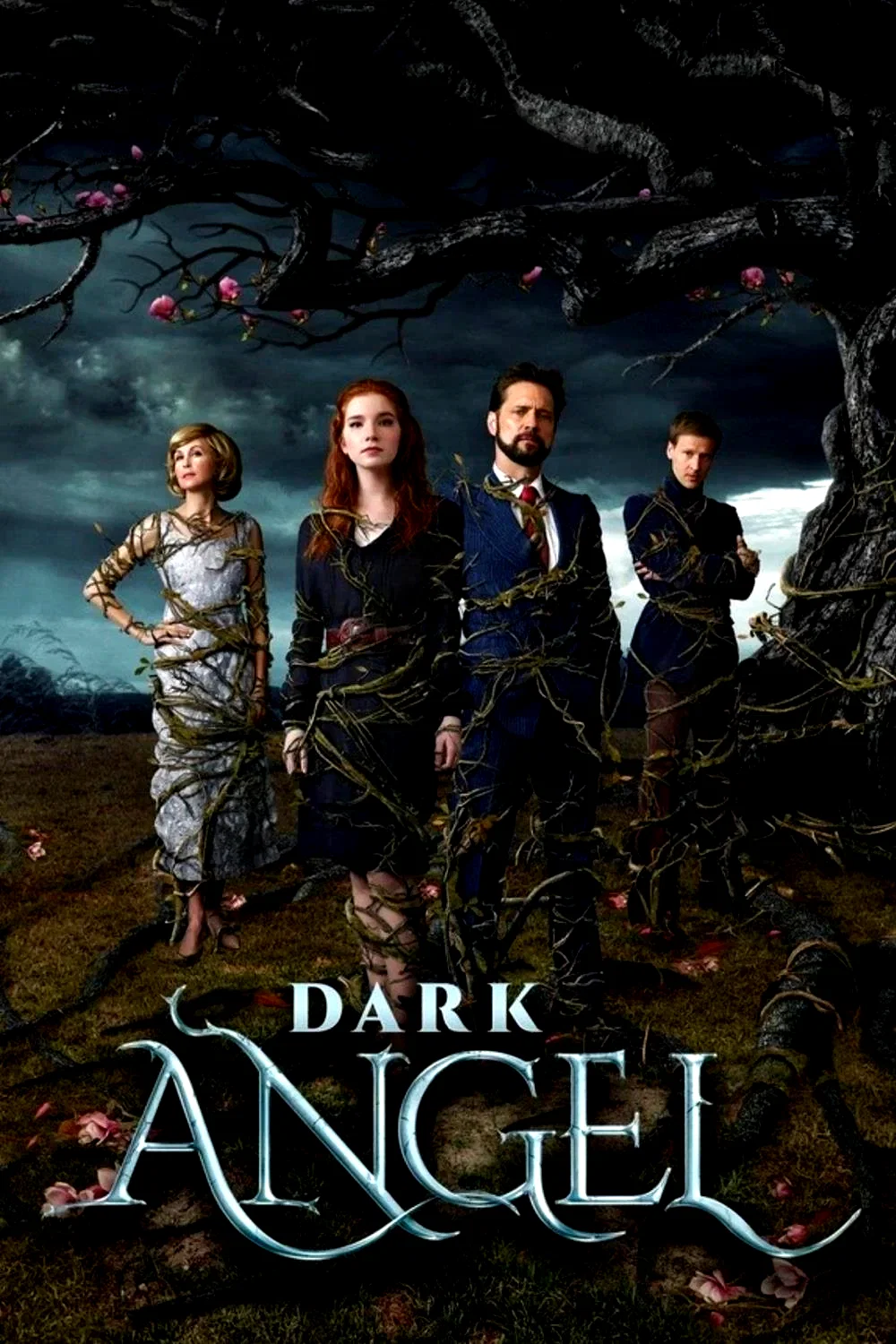Affiche du film : Dark Angel